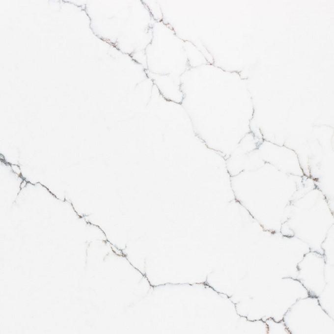 Carrara Venatino